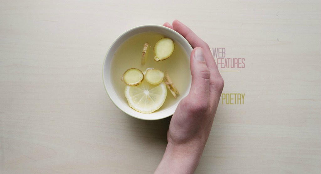 PURR by Kevin&nbsp;Carollo