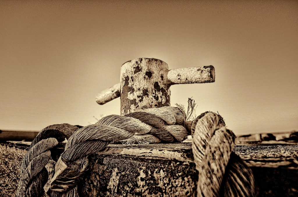 Battery Life by Daniel&nbsp;Schwartz