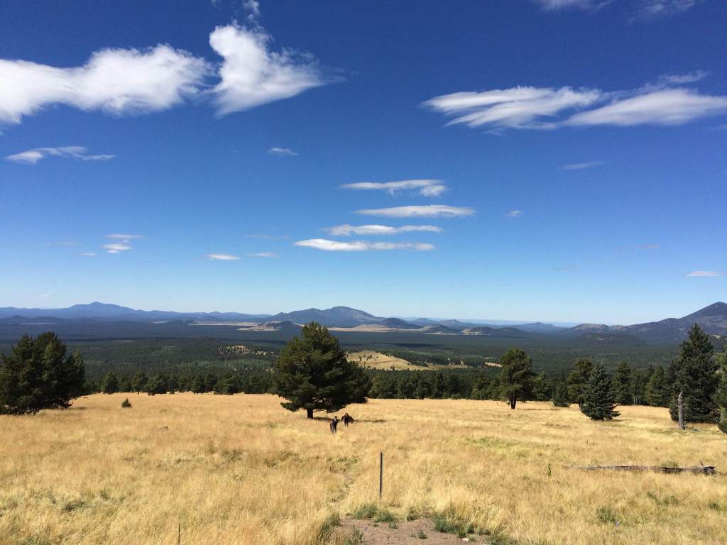 How To Read In&nbsp;Flagstaff