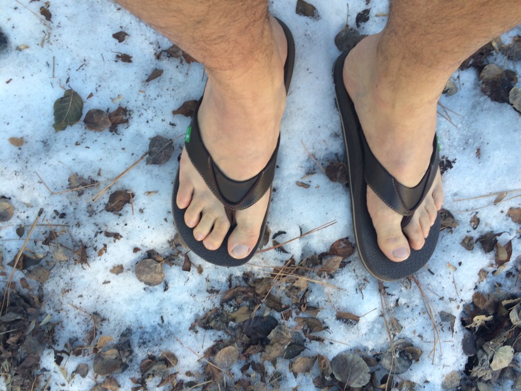 Letter to a Knucklehead NAU&nbsp;Student