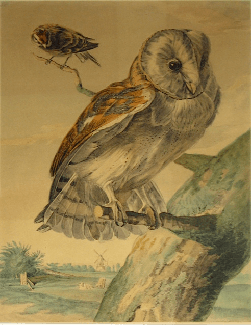 3 Poems by John Findura