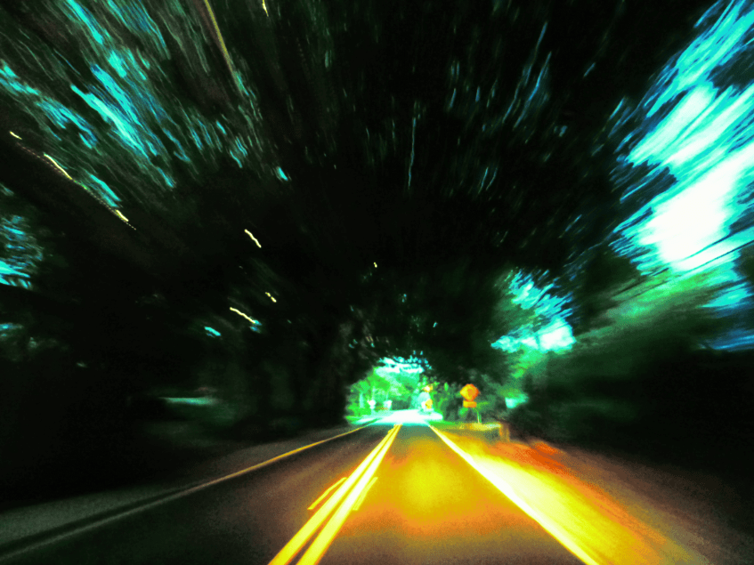 Greyhound by James Croal Jackson