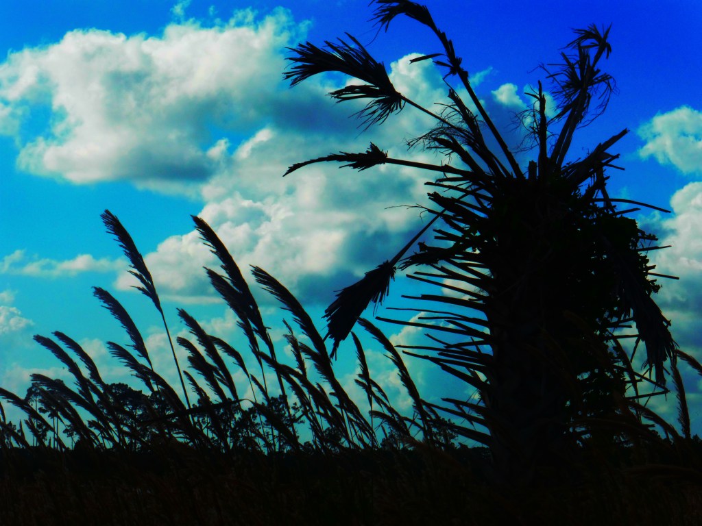 Three Poems by Richard Dinges,&nbsp;Jr.