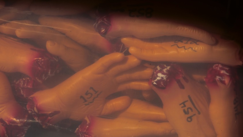 Pieces of Winston by Debra&nbsp;Stewart