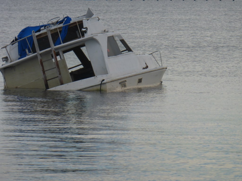 Making Waves by Fred&nbsp;Vogel