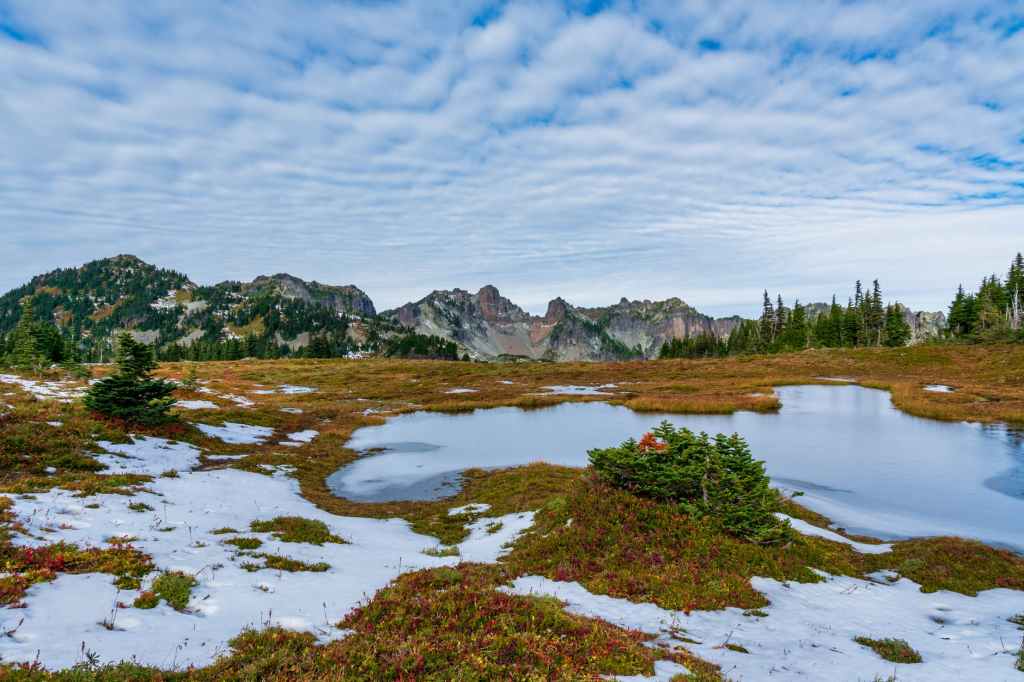 “March” by Joanna&nbsp;Cleary