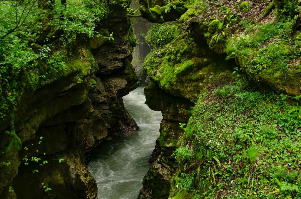 “bear/bare” by Jamie&nbsp;Cattanach