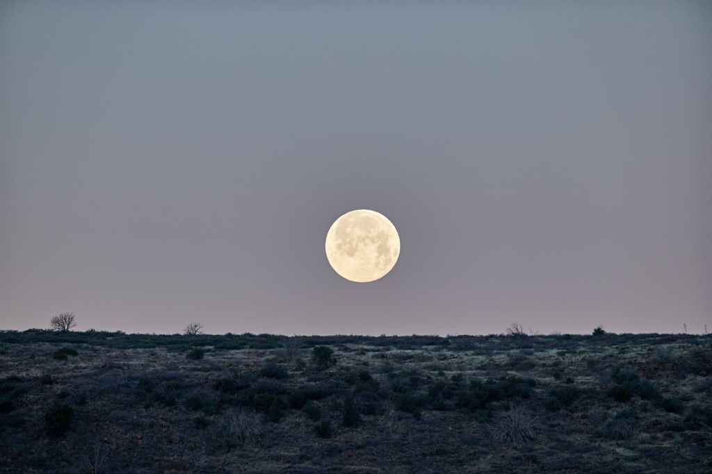 “Luminous” by Camille&nbsp;LeFevre