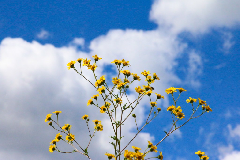 Thin Air has a&nbsp;Newsletter!