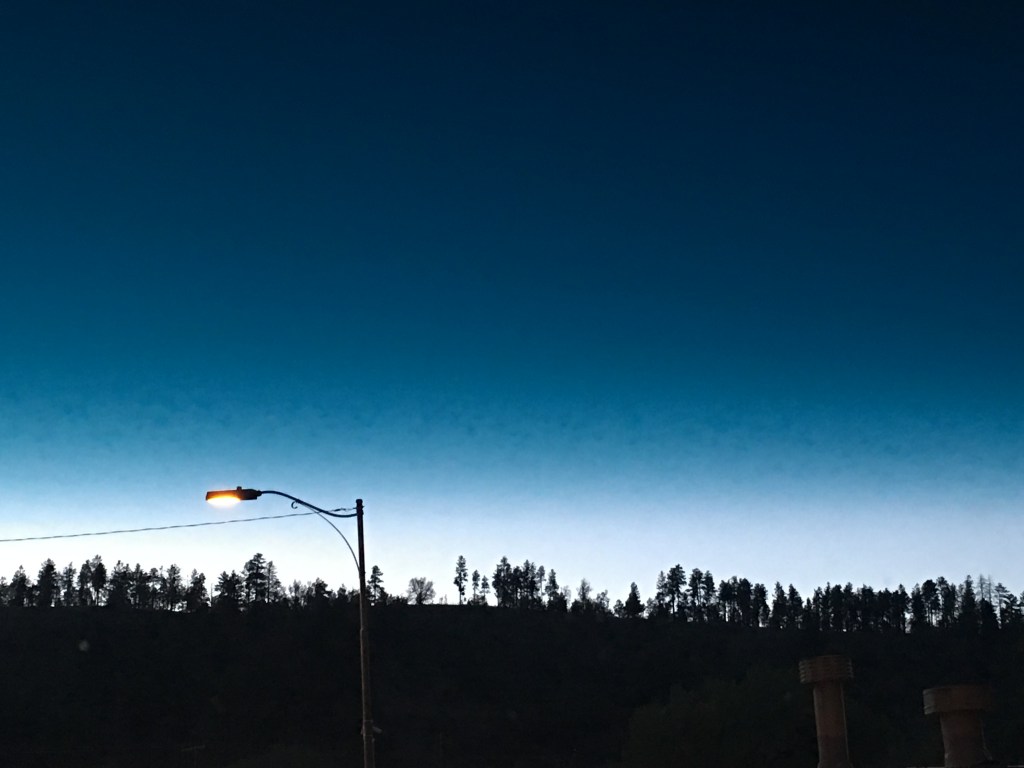 Silly Goose Writing Club&nbsp;#2