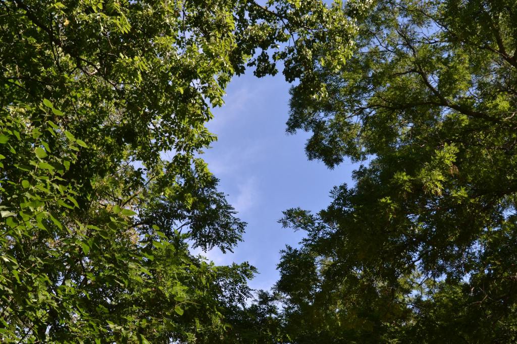 May 5th By Mark&nbsp;Katrinak