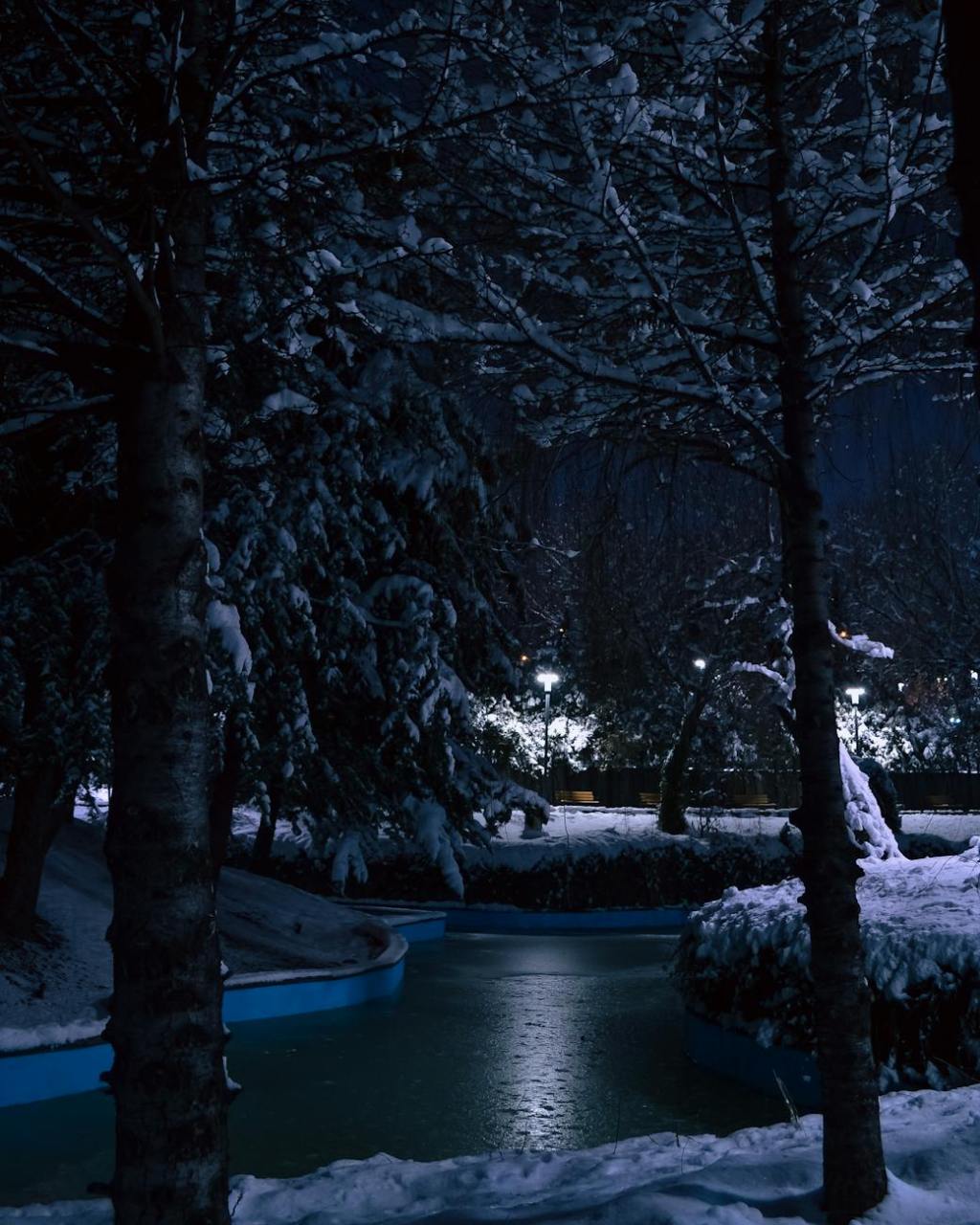 Silent as a Snow Flake by Nancy Yuktonis&nbsp;Solak