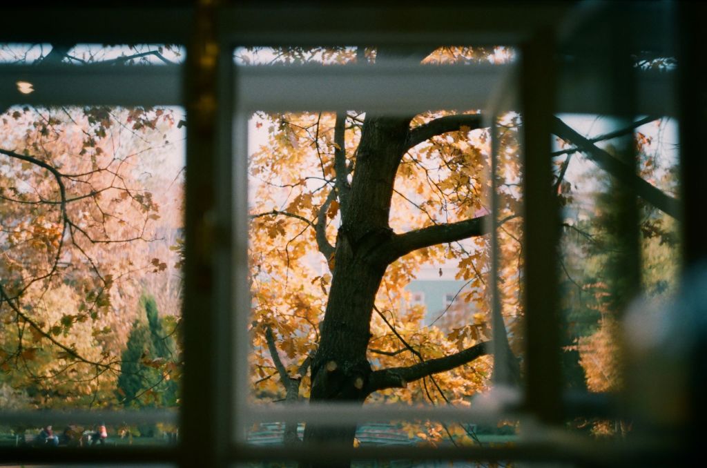 Window Sitting by Michael&nbsp;Roberts