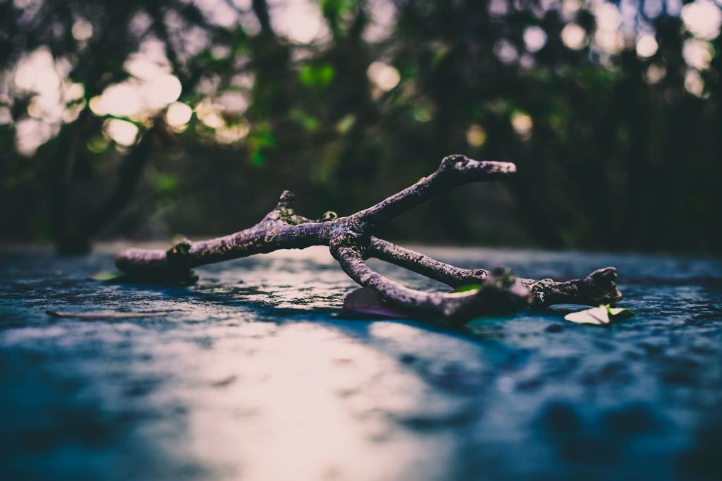 It Could Be Worse by Lara Waas
